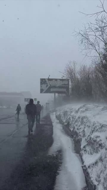 Жители Воркуты показали, как выглядит конец мая в их городе. Ни клещей, ни березовой пыльцы ни пыли.