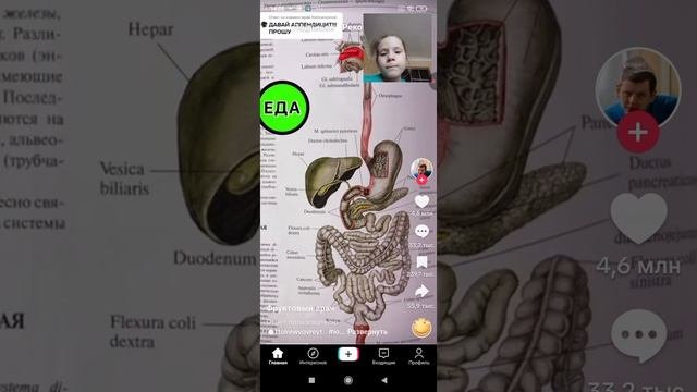 смотрю тик-ток