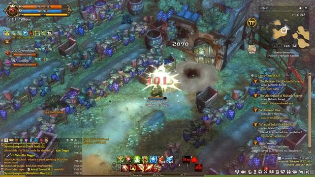 Tree of Savior / Плюс два и в данж (Играем с подписчиками)