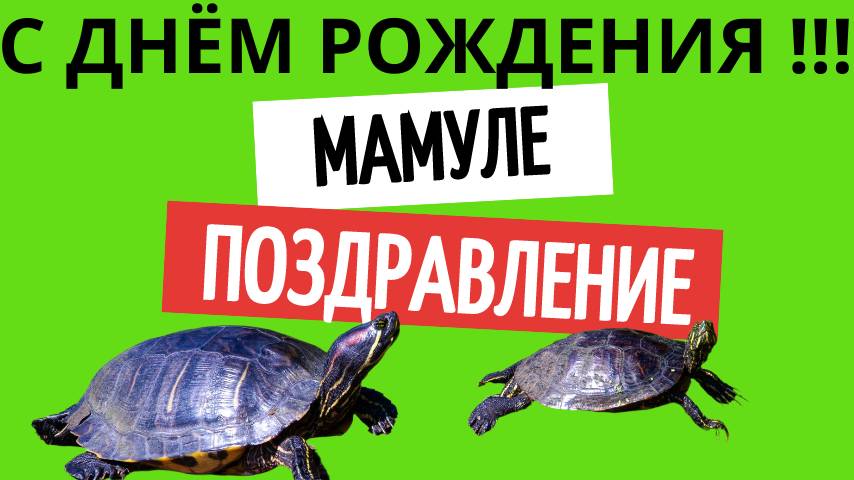 Поздравления мамуле