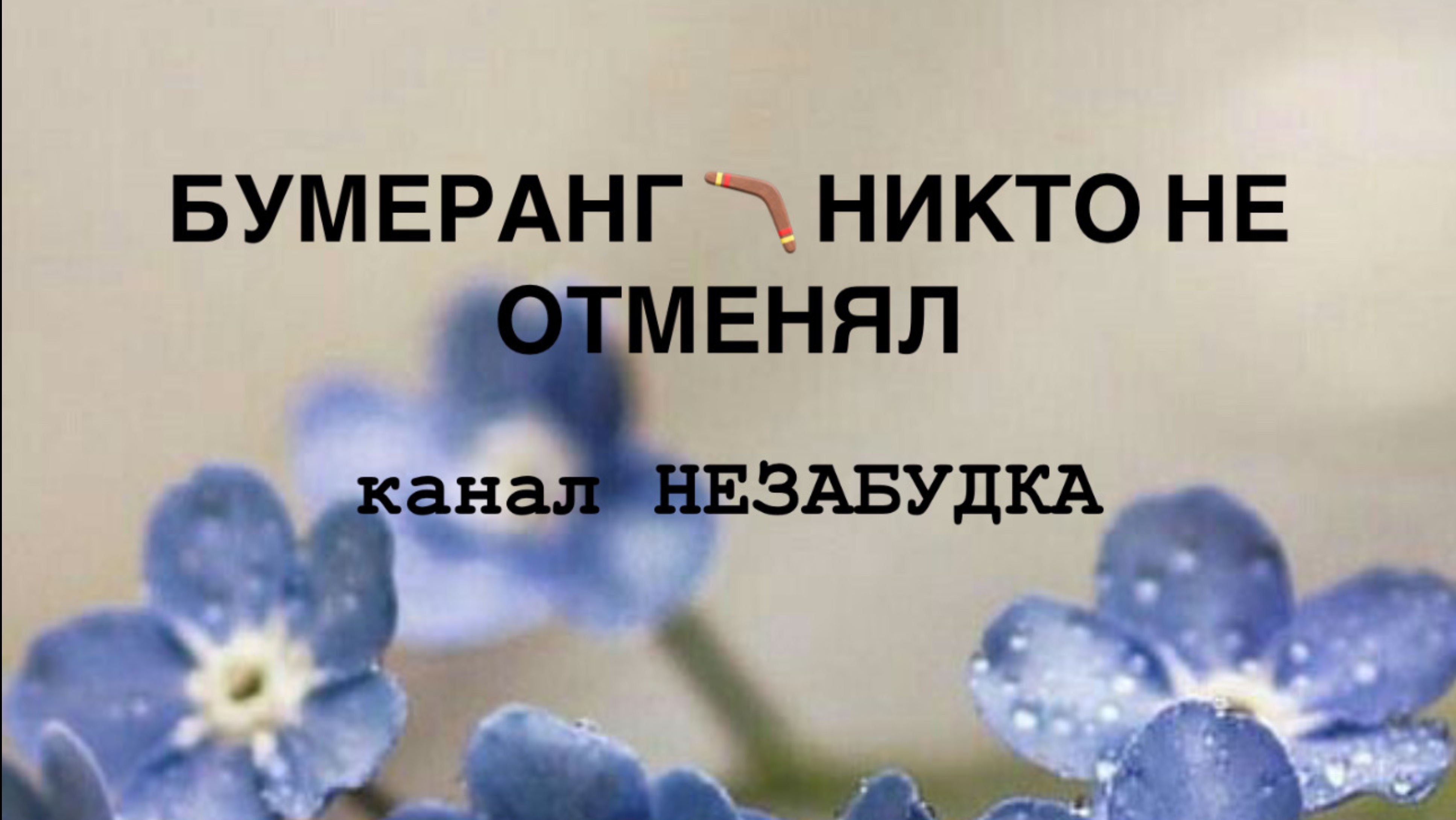 БУМЕРАНГ 🪃 НИКТО НЕ ОТМЕНЯЛ