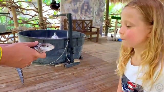 Лайк Настя (Like Nastya) - Настя учится украшать машину в яркие цвета. Полезное видео для детей.