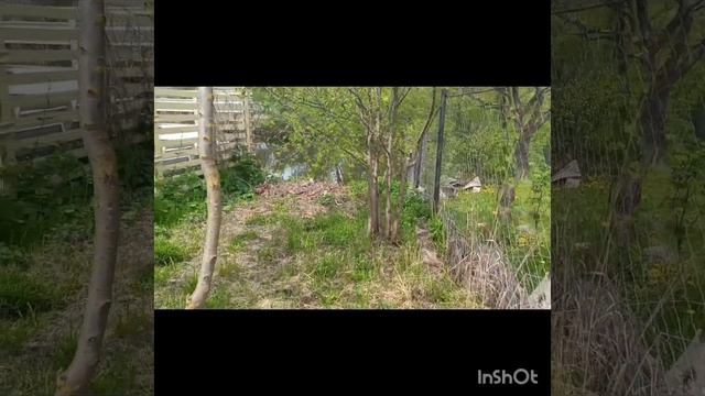 1000016136.mp4