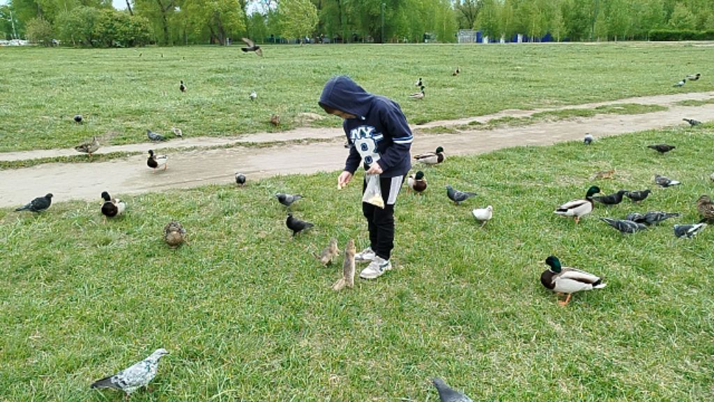 Повелитель животных