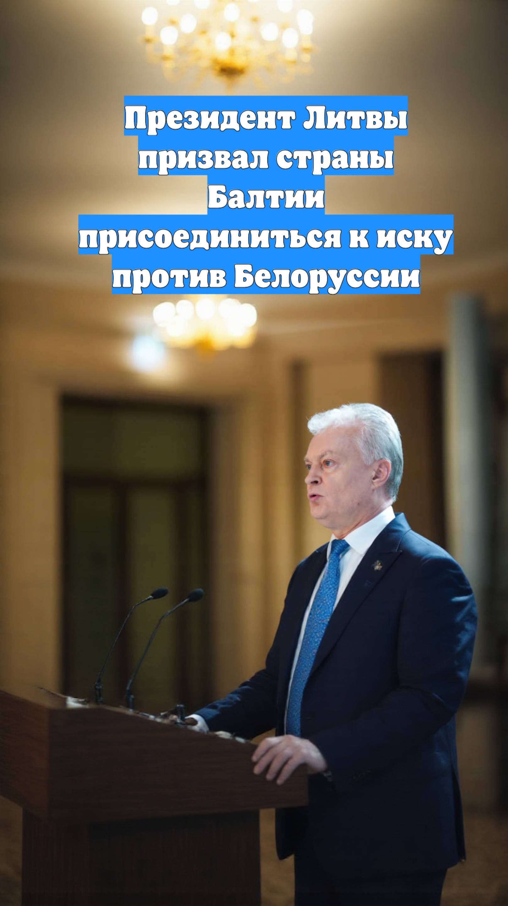 Президент Литвы призвал страны Балтии присоединиться к иску против Белоруссии