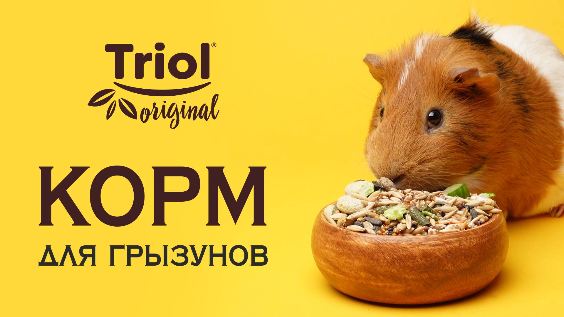 Корм для мелких грызунов, 450г, Triol Original
