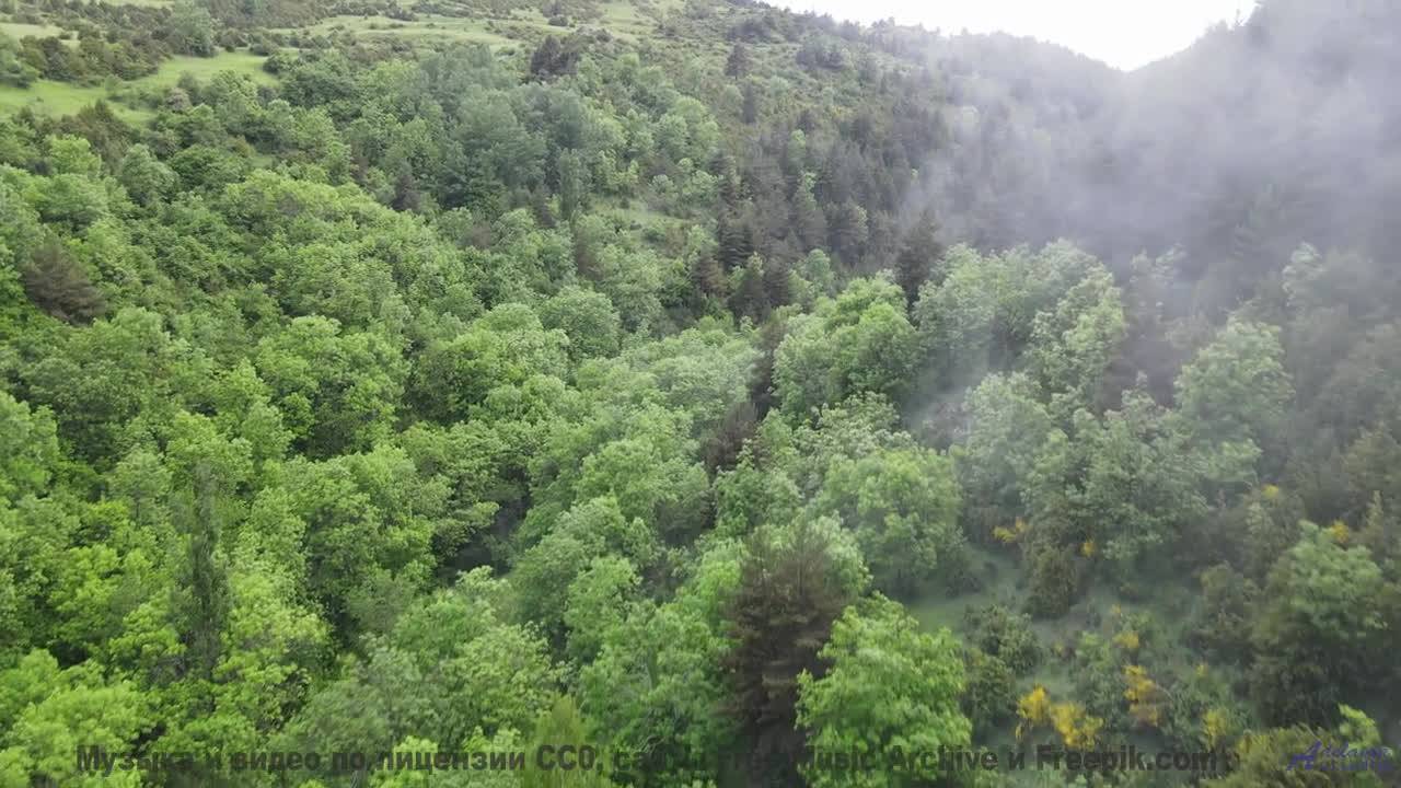 Эта композиция - как шёпот любимого на рассвете... - 7-le feu -- Bonne Humeur Provisoire -- Merak