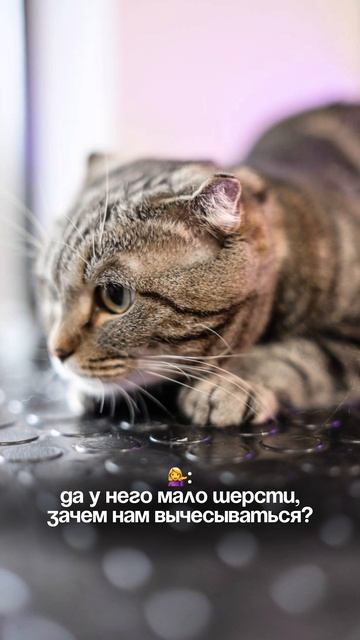 ОКАК....