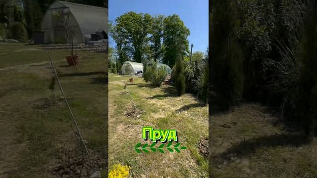 Земельный участок 35 соток, дом 100 м2, свет 15 кВт, центральный водопровод, септик. 70🍋
+799965429