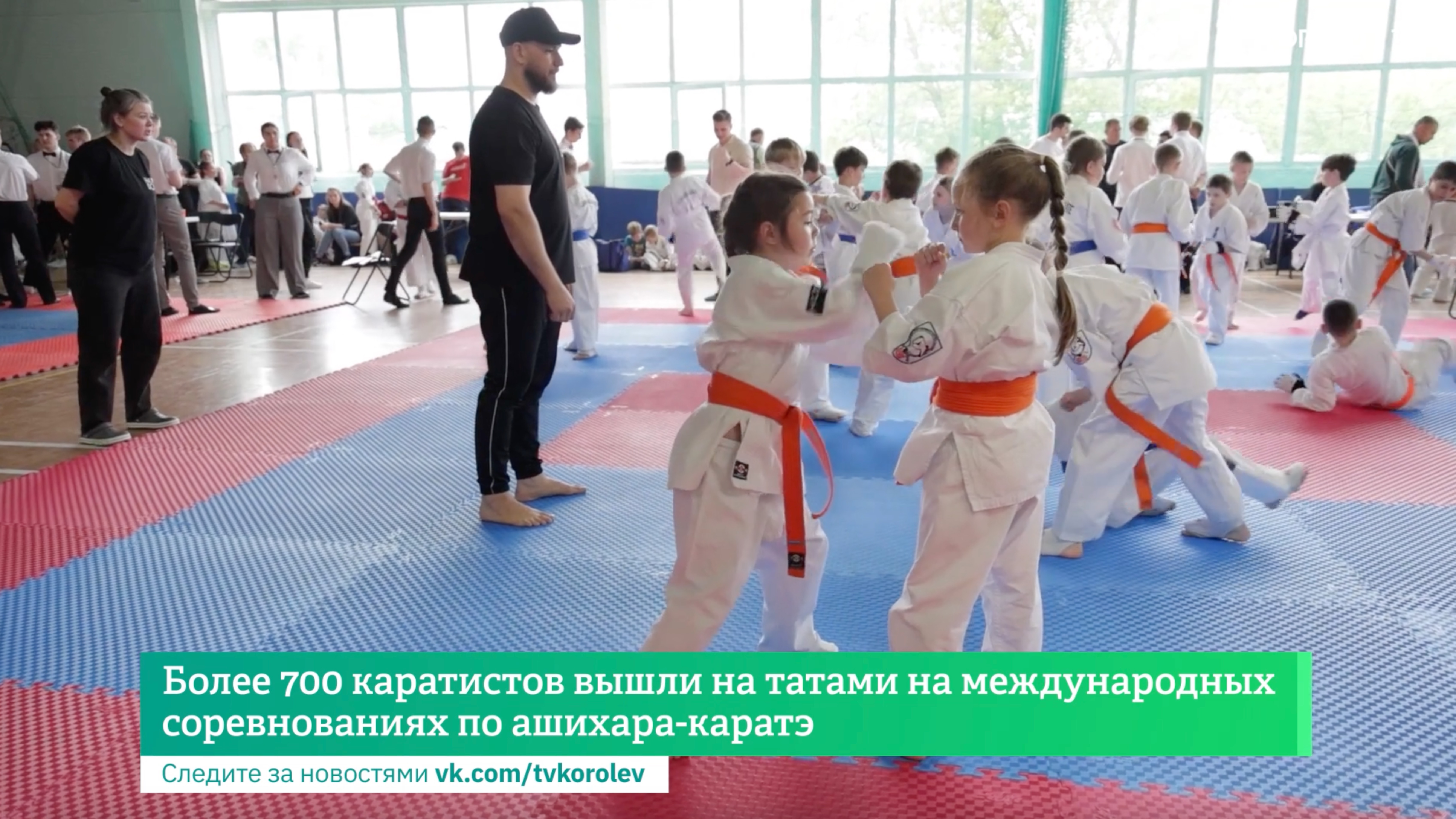 Более 700 каратистов вышли на татами на международных соревнованиях по ашихара-каратэ