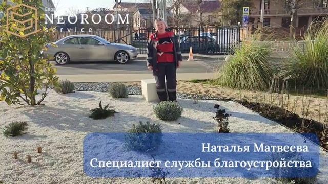 Серия роликов о посадке растений в ЖК "Фрукты"
3 серия: "Фруктовый сад около Лимона"