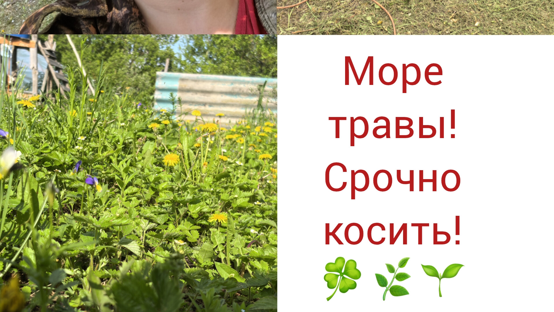 Море травы
