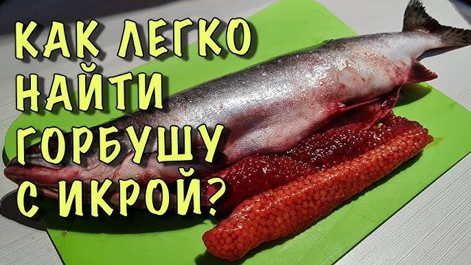 Как выбрать ГОРБУШУ с ИКРОЙ - работает 100%! Как вкусно засолить красную икру!