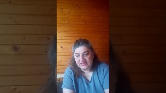 карта дня