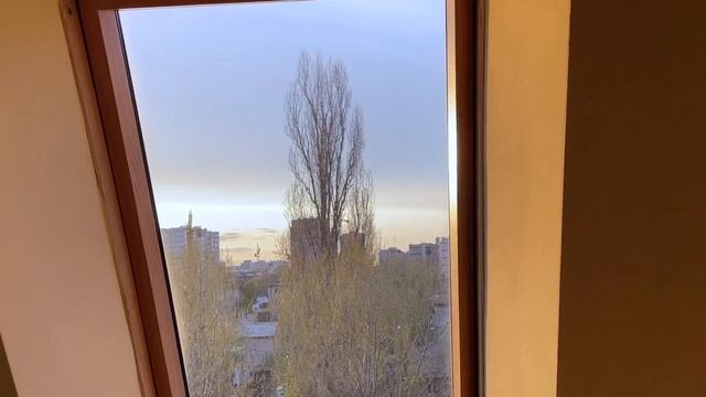 Мои продуктивные дни _ПОЛИНА ПИРОГ