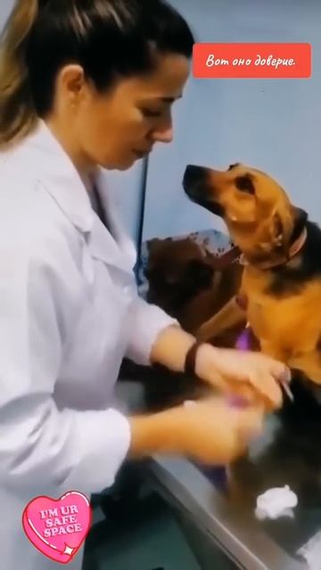 Трогательное видео, облетевшее весь Мир