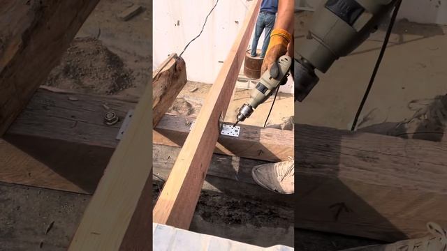 Помещение для выгонки тюльпанов / из разрушенного в по