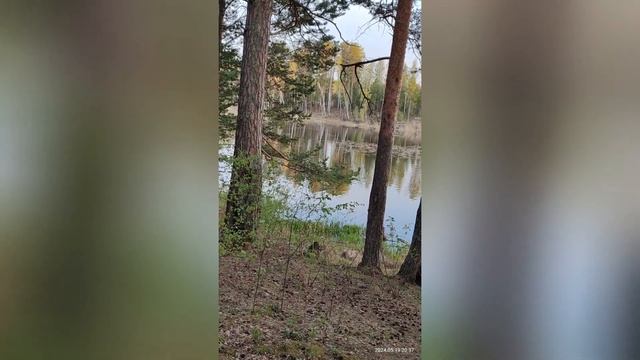 МОТОЦИКЛ УРАЛ. ПЕРЕСЕКЛИ РОВ. НАШЛИ КРАСИВОЕ ОЗЕРО В Л?
