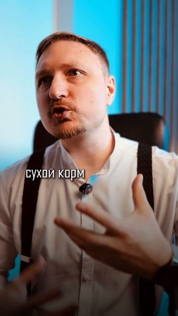 Вы кормить свою собаку неправильно