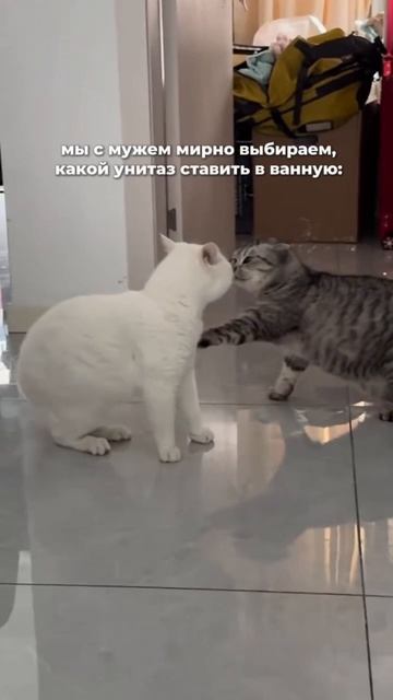 Как выбрать унитаз: просто и без драк? 😁👇🏻