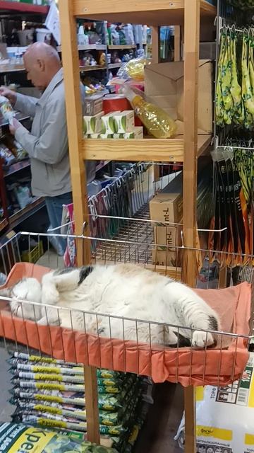 Самый важный