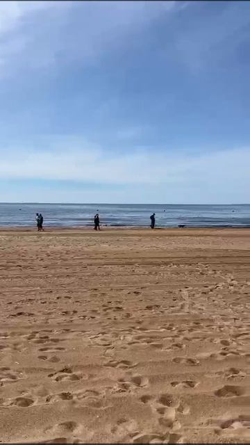 Пляж "Дюны" Сестрорецк