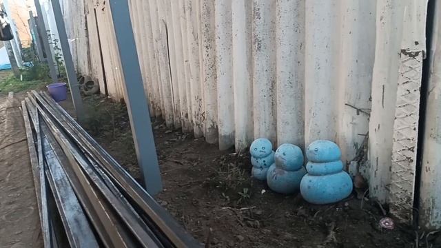 Экспресс уборка Посадка цветов в январе День рождения