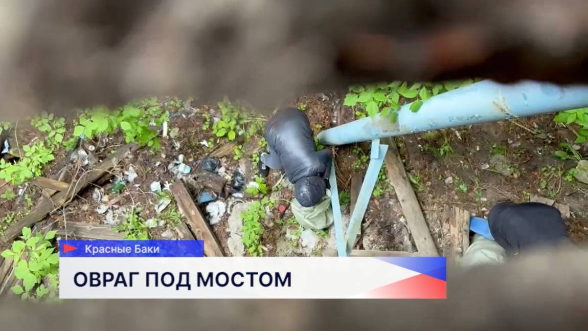 В Краснобаковском округе проходит субботник