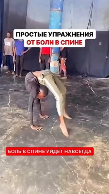 Клип @dancee_biz