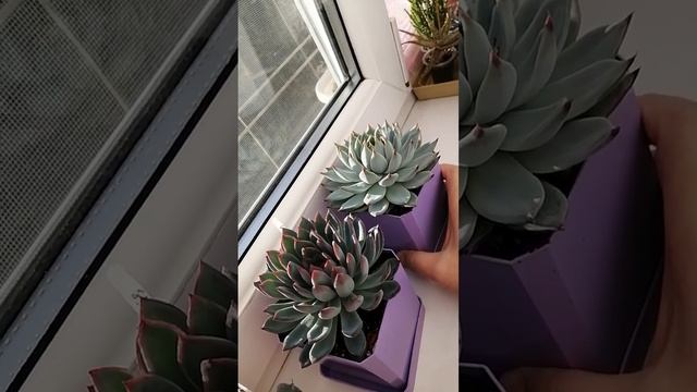 Всем доброе утро и хорошего настроения ❤️❤️❤️ Небо
