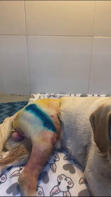 Ура!!!