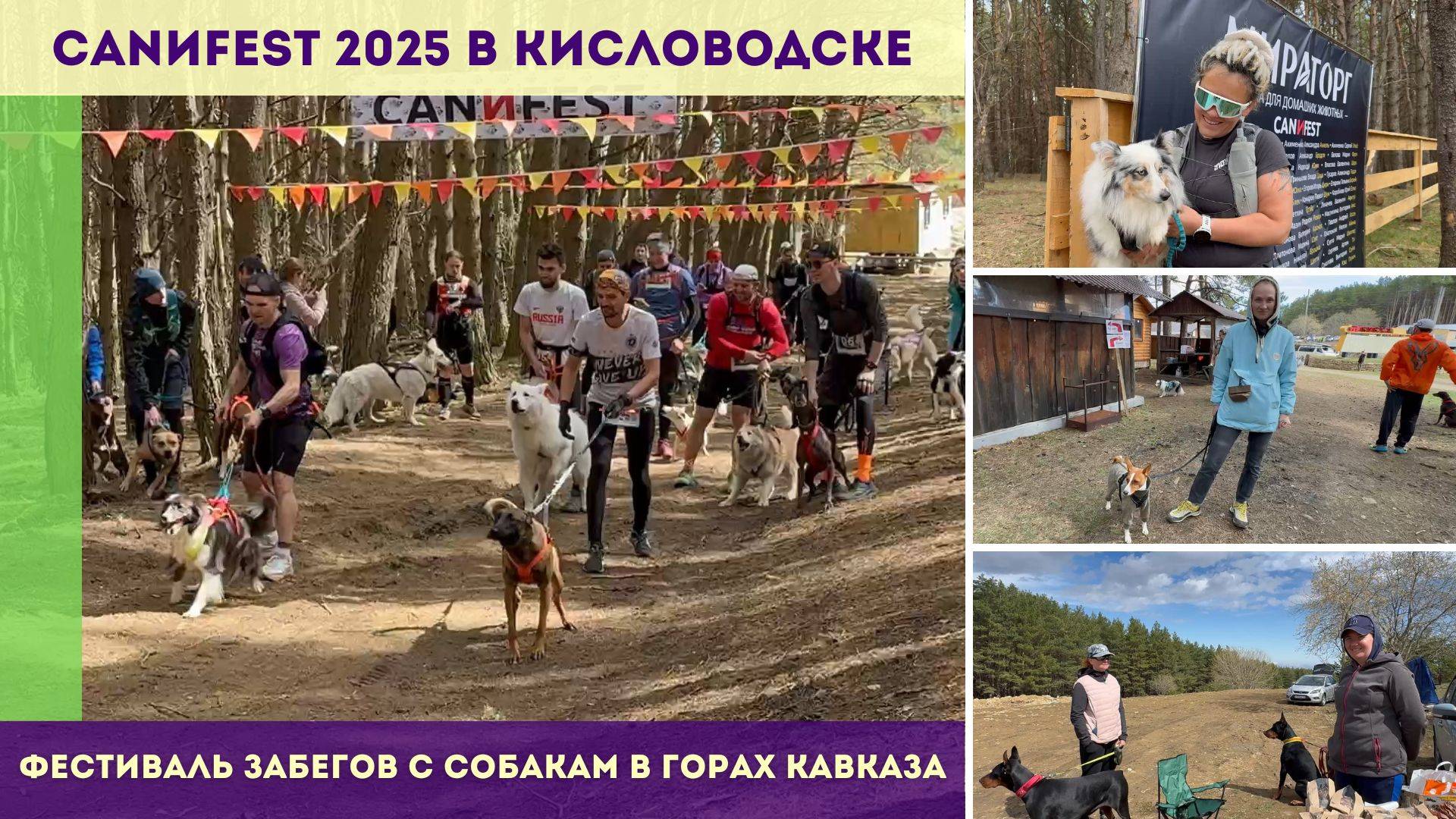 CANИFEST 2025 в Кисловодске. Фестиваль забегов с собакам в горах Кавказа