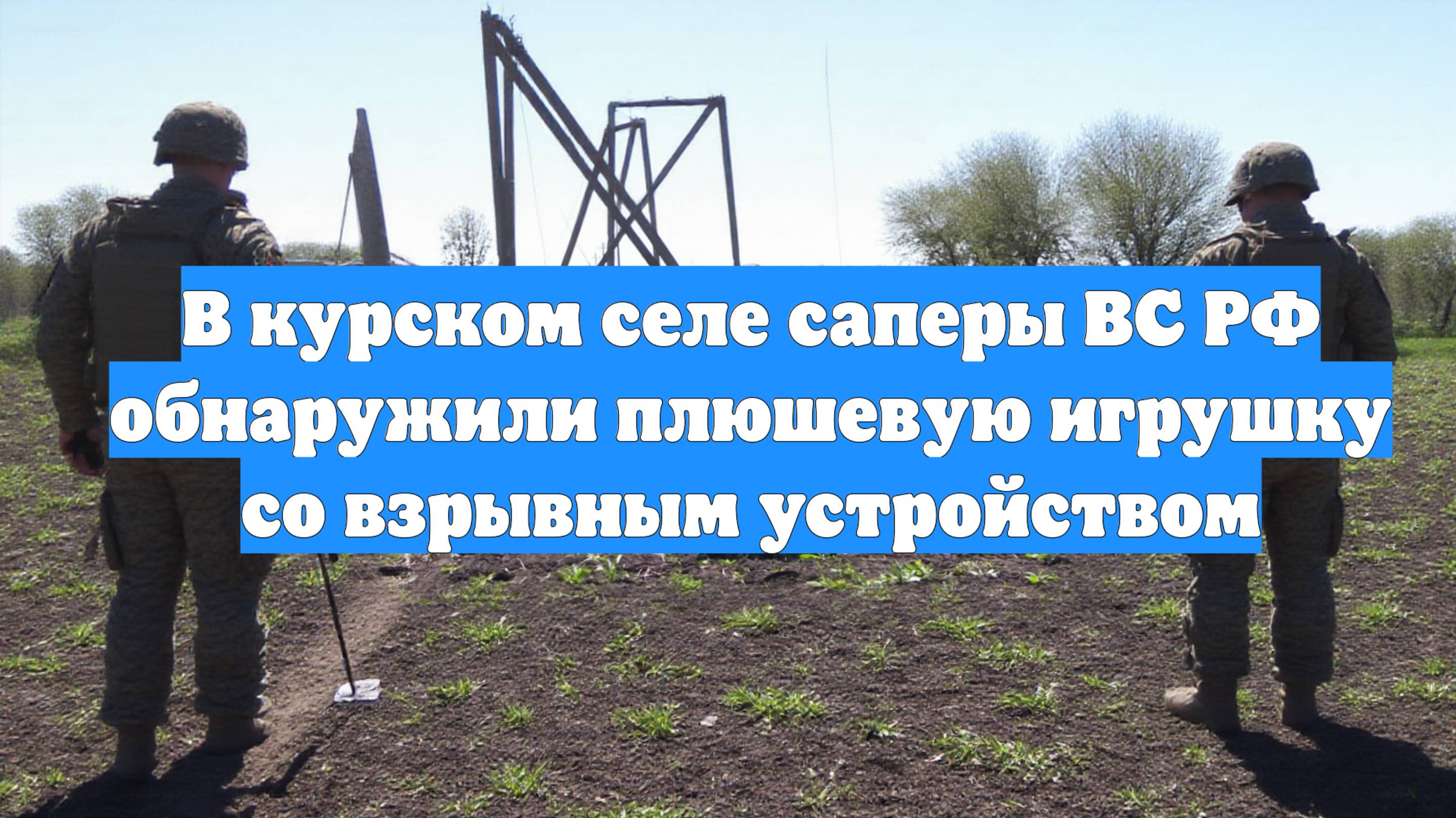В курском селе саперы ВС РФ обнаружили плюшевую игрушку со взрывным устройством