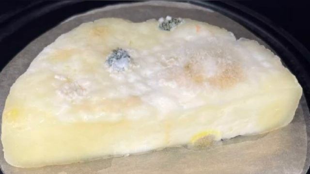 Эксперимент с сыром