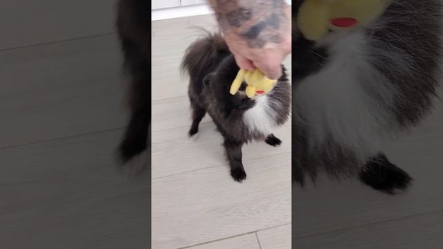 Выходные у друзей