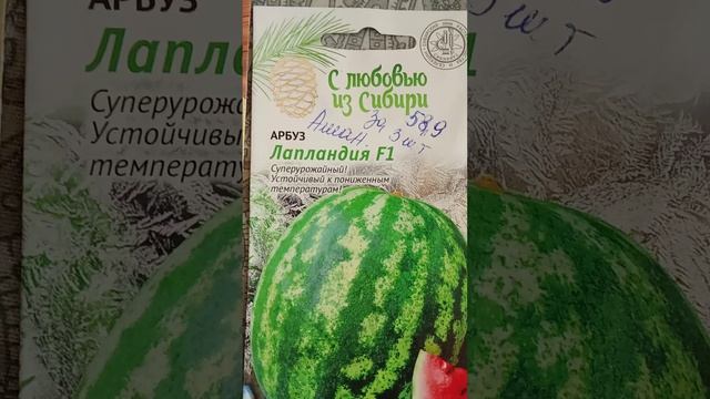 20.05.25 Дыни затянула пленкой