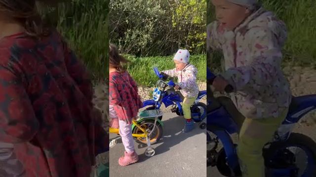 Встречаем папу. Забой перепелов