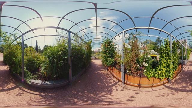 Kaisaniemi Botanic garden 360° 8K video Insta360 Pro
