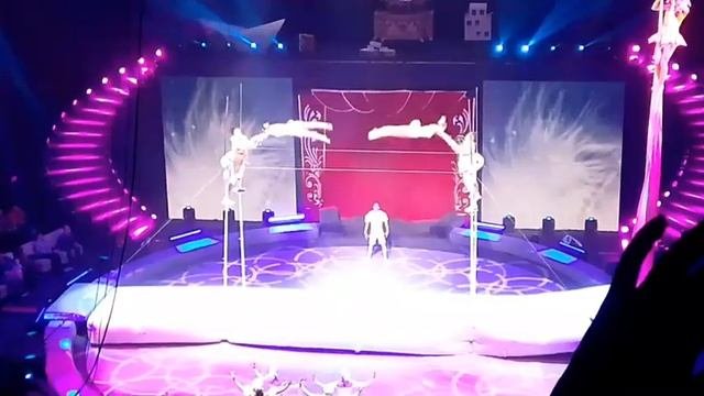 шоу братьев Запашных стойкий оловянный солдатик