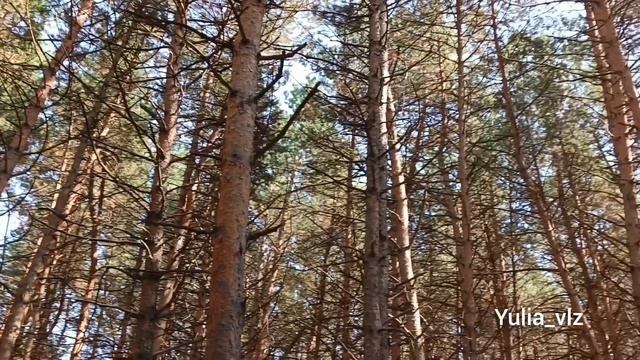 Кисловодск🔸Пешком на Малое Седло🔸Эпизод 6🔸