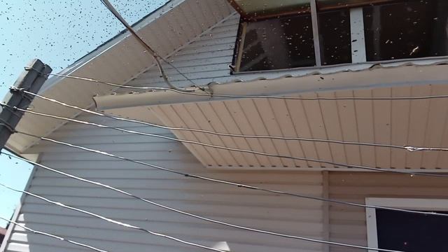 VID_20250517_103101.mp4