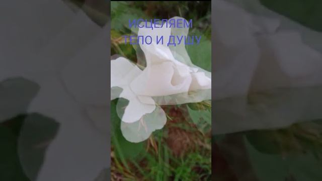 ВОЗВРАЩАЕМ СЕБЕ СИЛУ