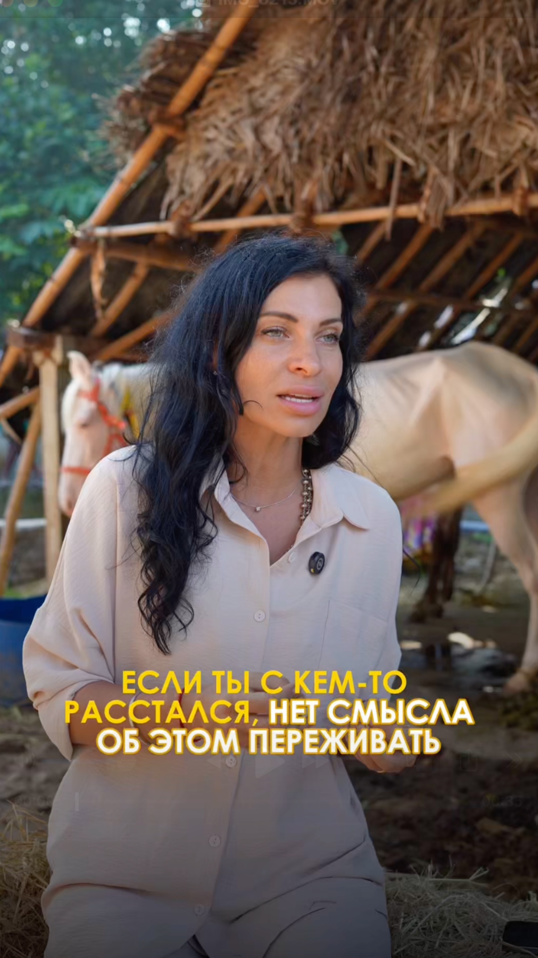 20 Мая 2025 г.