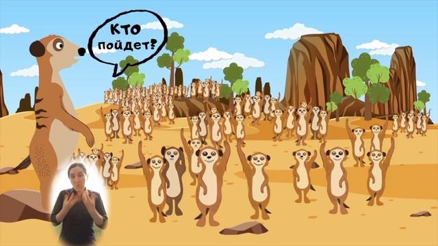 Творение учит нас | Сурикаты
