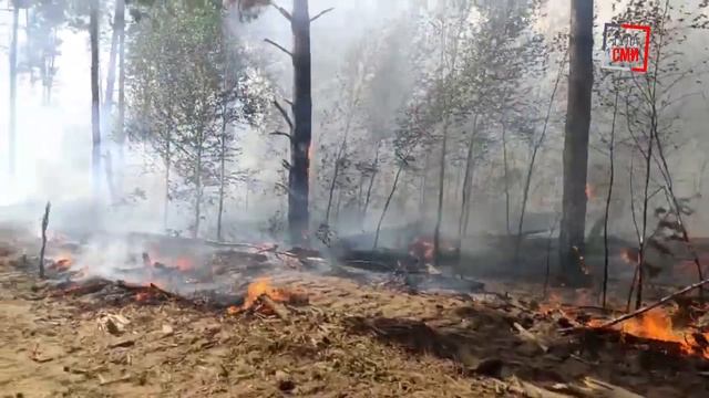 Сотрудник МЧС из Тульской области рассказал, как стал «чрезвычайным блогером»
