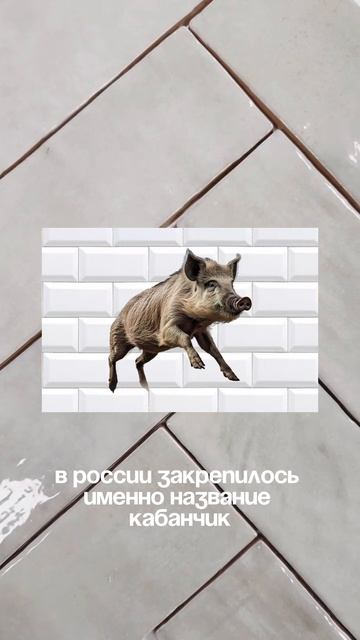Почему плитка кабанчик так называется