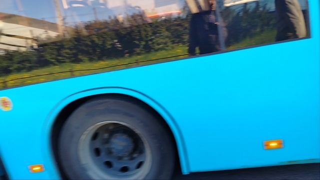 19 мая 2025 г. Автобус 96 маршрут МАЗ-203.947 38516 Железнодорожная станция Обухово