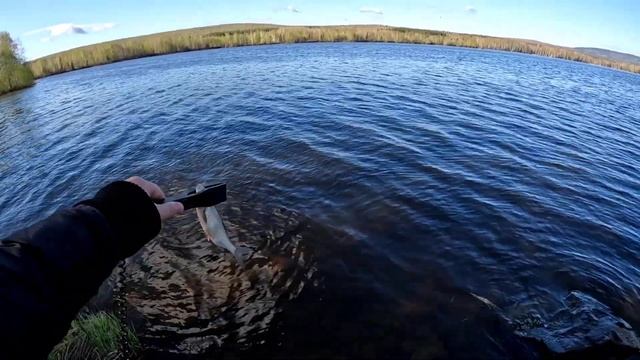 В поисках плотвы. Мормышинг Наноджиг Ультралайт