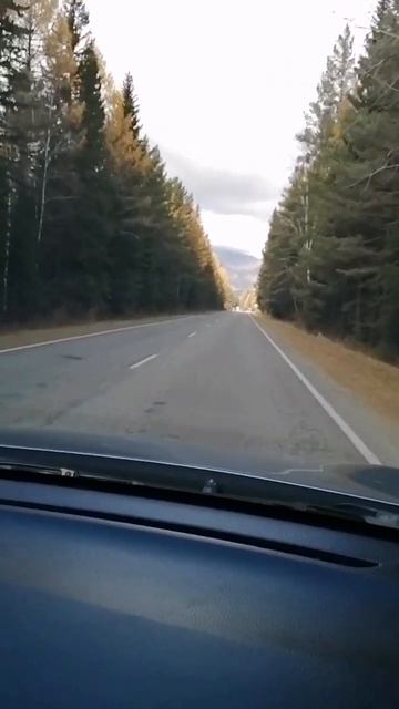 трасса на Аршан, Бурятия👍