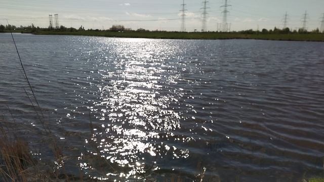 Кузьминское водохранилище, окраина Петербурга, 20 мая 2025.